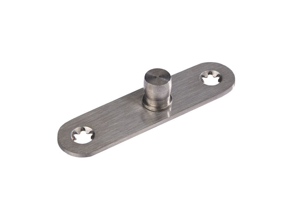 Dormakaba PT24 Pivot on Fixing Plate 3mm SSS